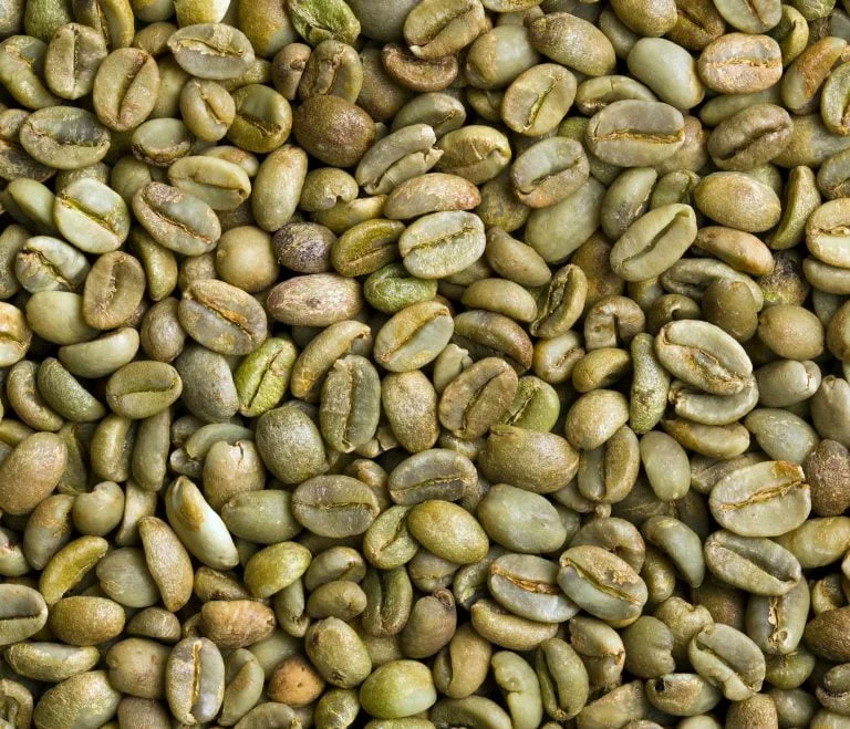 3 methods to decaffeinate coffee : green beans of coffee