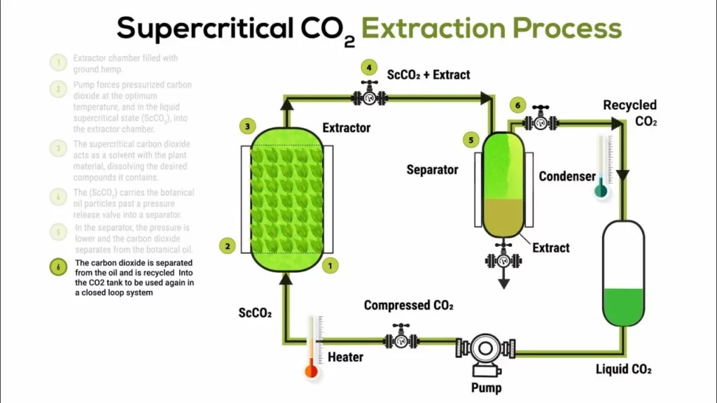 3 methods to decaffeinate coffee : supercritical CO2 extraction process